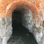 fogna